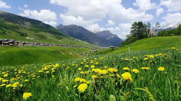 gli sgravi fiscali e le facilitazioni nel piccolo tibet