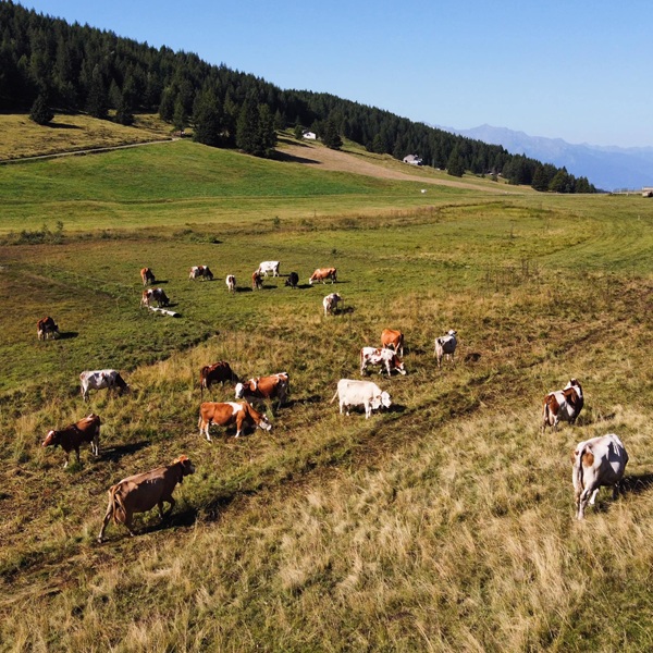 un luogo incontaminato tra boschi e tappeti di prati