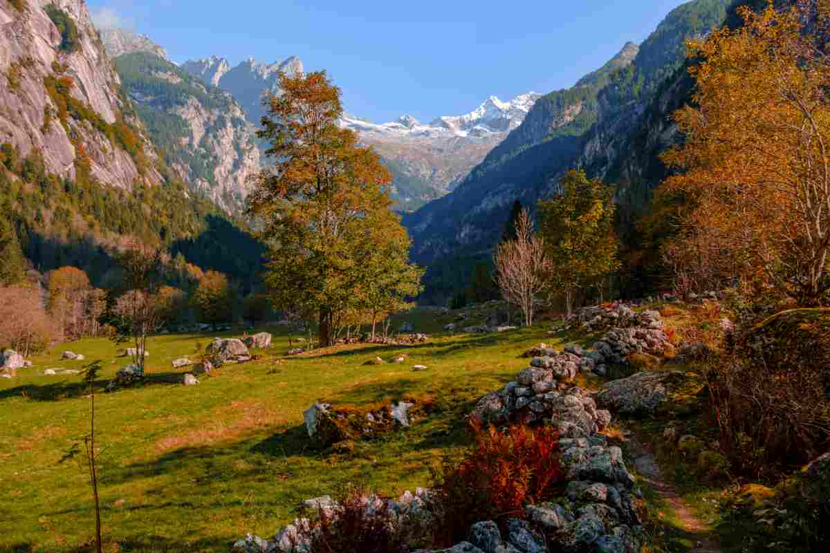 Val Masino|Val Masino|Pellet|Pellet